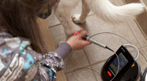 safe animal laser therapy in Kronenwetter, WI